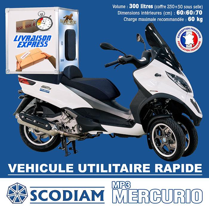 E-COMMERCE DELIVERY