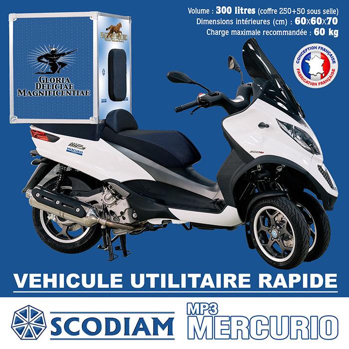 LUXURY GOODS DELIVERY